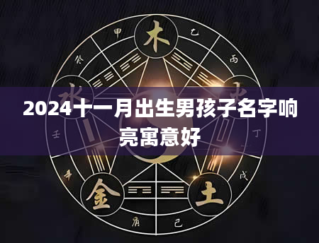 2024十一月出生男孩子名字响亮寓意好