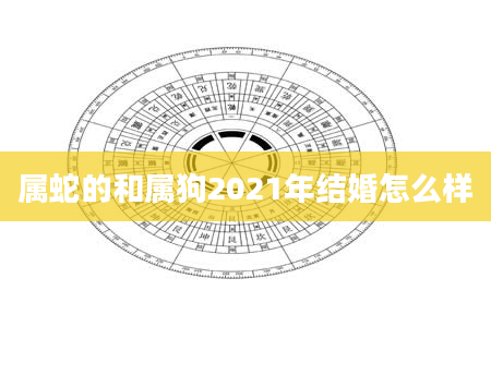 属蛇的和属狗2021年结婚怎么样