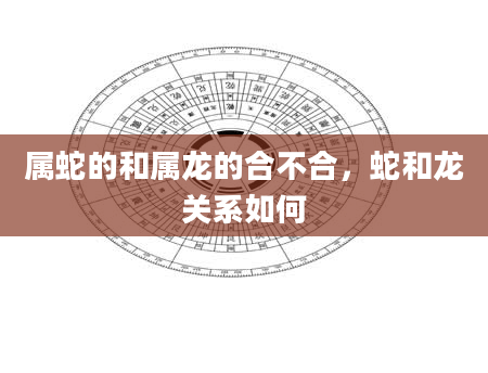 属蛇的和属龙的合不合，蛇和龙关系如何