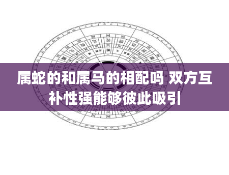 属蛇的和属马的相配吗 双方互补性强能够彼此吸引