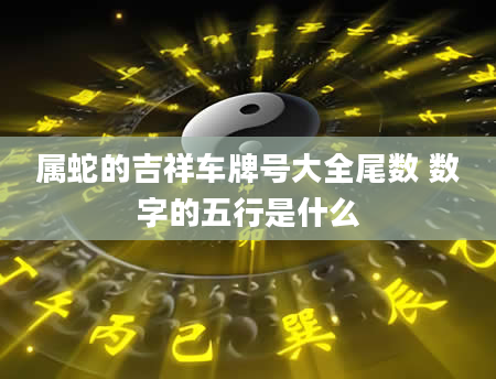 属蛇的吉祥车牌号大全尾数 数字的五行是什么