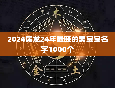 2024属龙24年最旺的男宝宝名字1000个