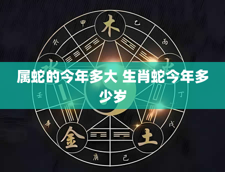 属蛇的今年多大 生肖蛇今年多少岁