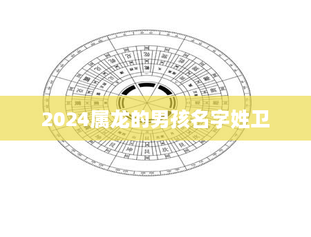 2024属龙的男孩名字姓卫