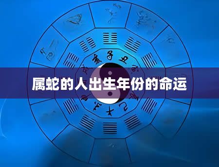 属蛇的人出生年份的命运