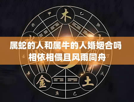 属蛇的人和属牛的人婚姻合吗 相依相偎且风雨同舟