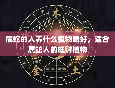 属蛇的人养什么植物最好，适合属蛇人的旺财植物