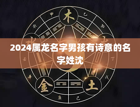 2024属龙名字男孩有诗意的名字姓沈
