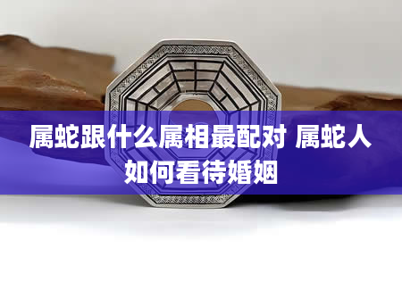 属蛇跟什么属相最配对 属蛇人如何看待婚姻