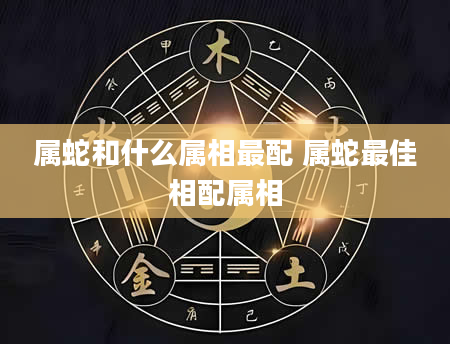 属蛇和什么属相最配 属蛇最佳相配属相