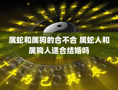 属蛇和属狗的合不合 属蛇人和属狗人适合结婚吗