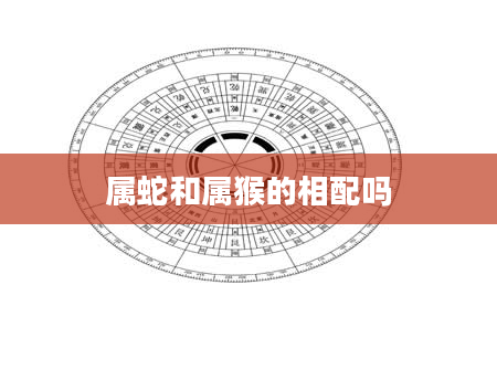 属蛇和属猴的相配吗