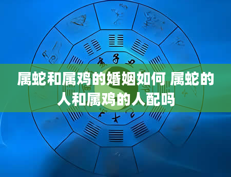 属蛇和属鸡的婚姻如何 属蛇的人和属鸡的人配吗