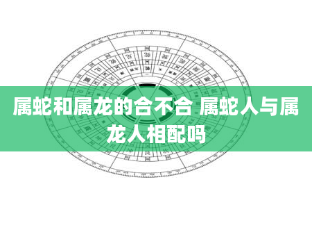 属蛇和属龙的合不合 属蛇人与属龙人相配吗