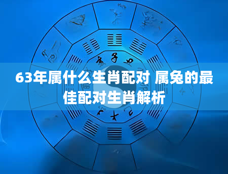 63年属什么生肖配对 属兔的最佳配对生肖解析