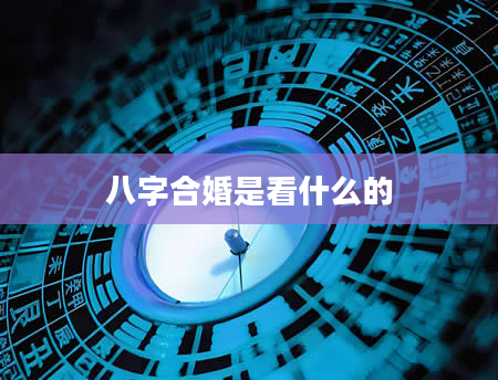 八字合婚是看什么的