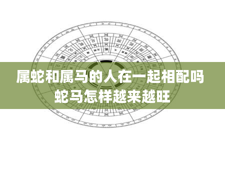 属蛇和属马的人在一起相配吗 蛇马怎样越来越旺