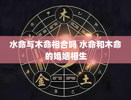 水命与木命相合吗 水命和木命的婚姻相生