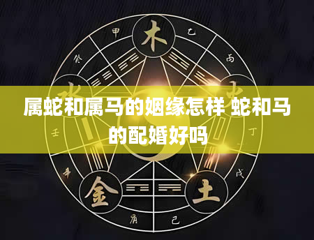 属蛇和属马的姻缘怎样 蛇和马的配婚好吗