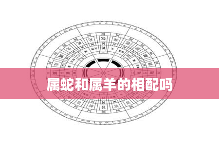 属蛇和属羊的相配吗