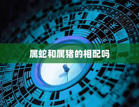 属蛇和属猪的相配吗