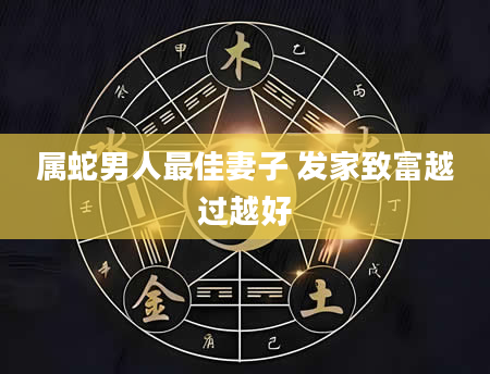 属蛇男人最佳妻子 发家致富越过越好