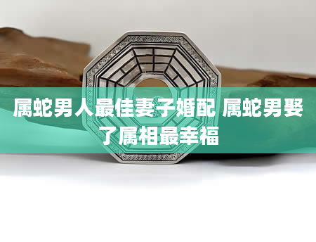 属蛇男人最佳妻子婚配 属蛇男娶了属相最幸福