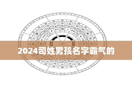 2024司姓男孩名字霸气的