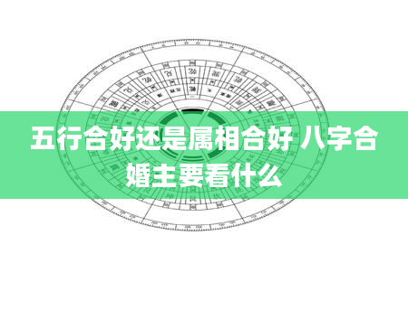 五行合好还是属相合好 八字合婚主要看什么