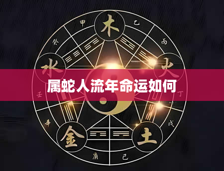 属蛇人流年命运如何