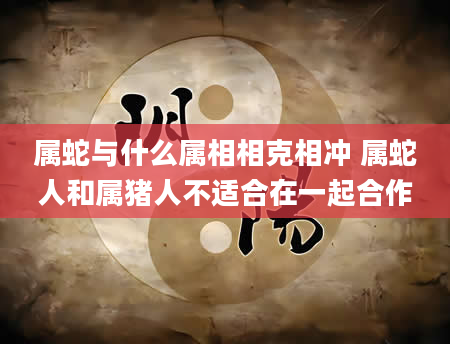 属蛇与什么属相相克相冲 属蛇人和属猪人不适合在一起合作