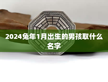 2024兔年1月出生的男孩取什么名字