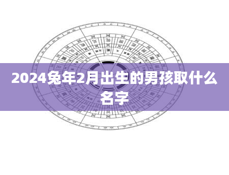 2024兔年2月出生的男孩取什么名字
