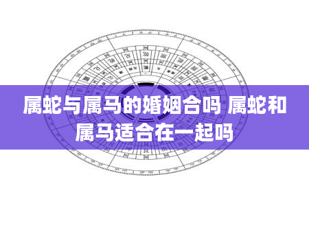 属蛇与属马的婚姻合吗 属蛇和属马适合在一起吗