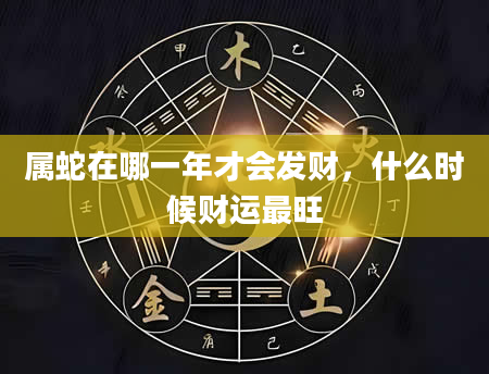 属蛇在哪一年才会发财，什么时候财运最旺