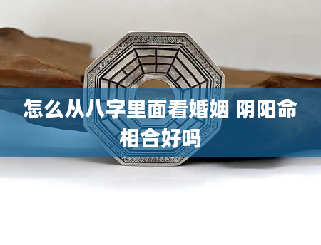怎么从八字里面看婚姻 阴阳命相合好吗