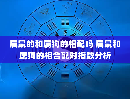 属鼠的和属狗的相配吗 属鼠和属狗的相合配对指数分析