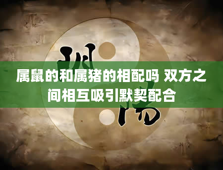 属鼠的和属猪的相配吗 双方之间相互吸引默契配合