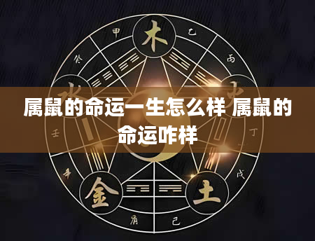 属鼠的命运一生怎么样 属鼠的命运咋样