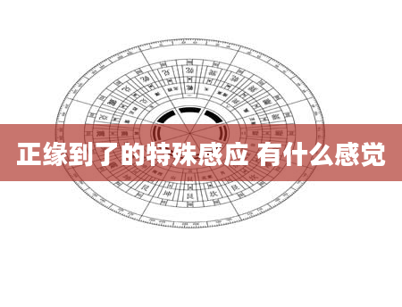 正缘到了的特殊感应 有什么感觉