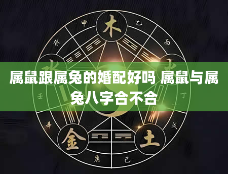 属鼠跟属兔的婚配好吗 属鼠与属兔八字合不合