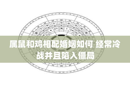 属鼠和鸡相配婚姻如何 经常冷战并且陷入僵局