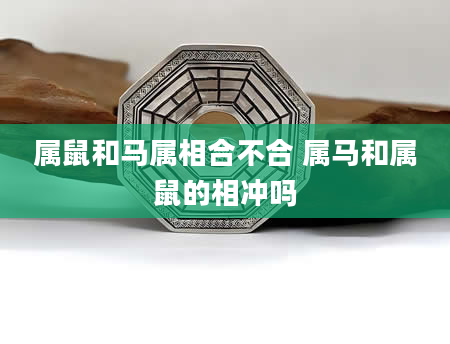 属鼠和马属相合不合 属马和属鼠的相冲吗
