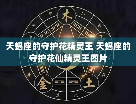 天蝎座的守护花精灵王 天蝎座的守护花仙精灵王图片