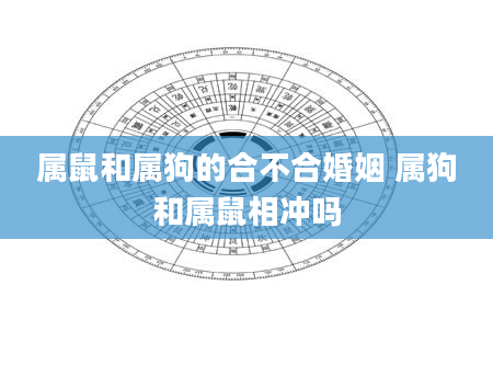 属鼠和属狗的合不合婚姻 属狗和属鼠相冲吗
