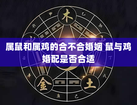 属鼠和属鸡的合不合婚姻 鼠与鸡婚配是否合适