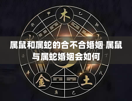 属鼠和属蛇的合不合婚姻 属鼠与属蛇婚姻会如何