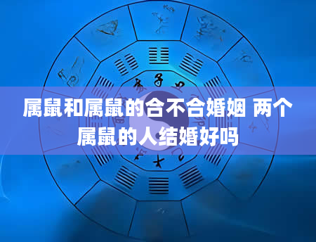 属鼠和属鼠的合不合婚姻 两个属鼠的人结婚好吗