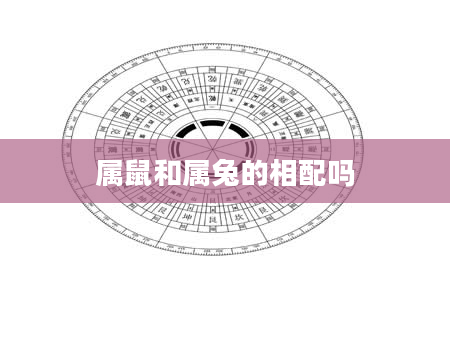 属鼠和属兔的相配吗