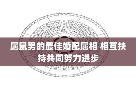 属鼠男的最佳婚配属相 相互扶持共同努力进步